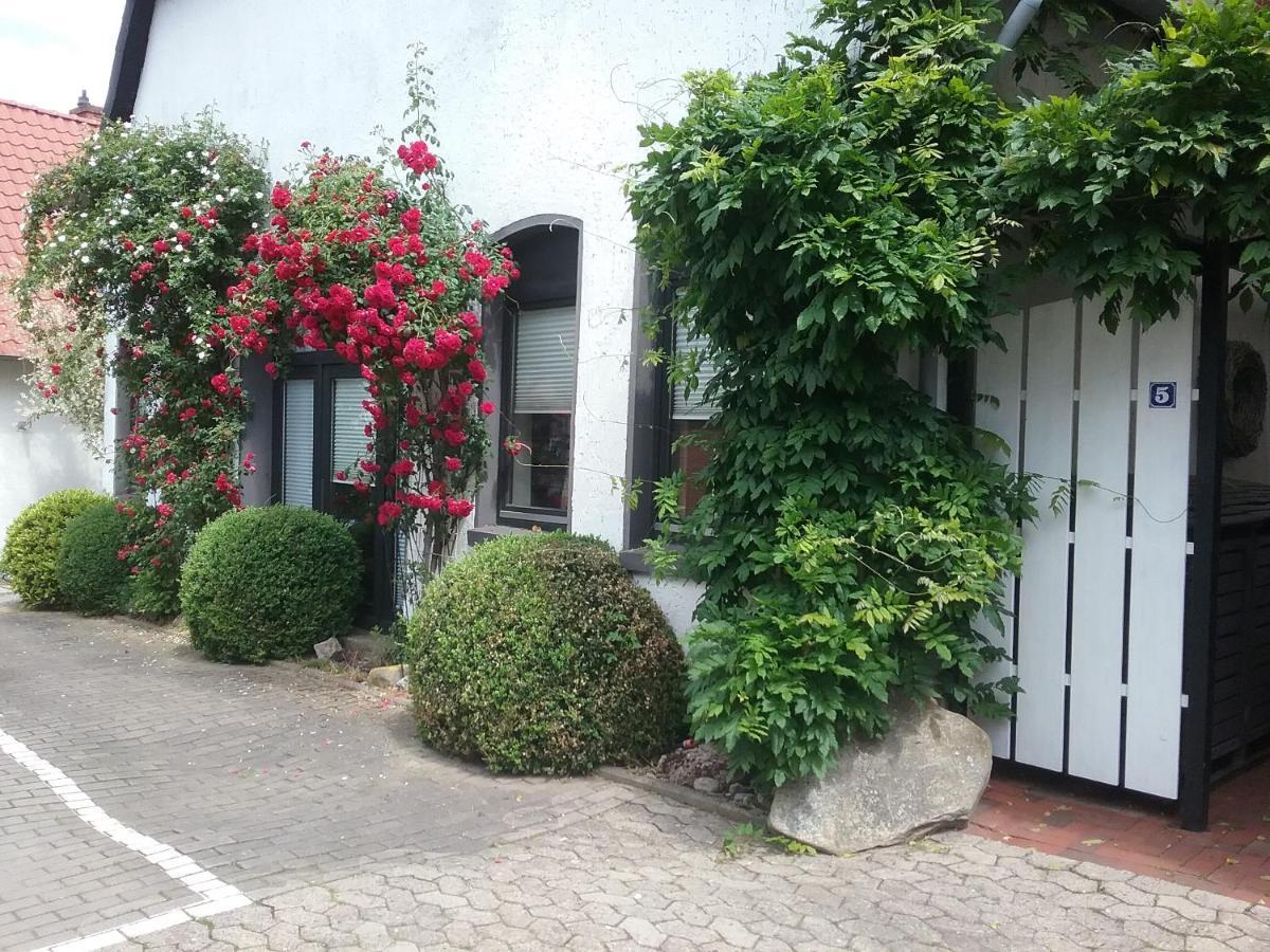 Altstadt-Apartment Petershagen Esterno foto